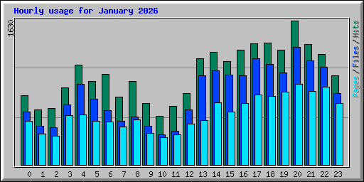 Hourly usage for January 2026