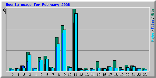 Hourly usage for February 2026